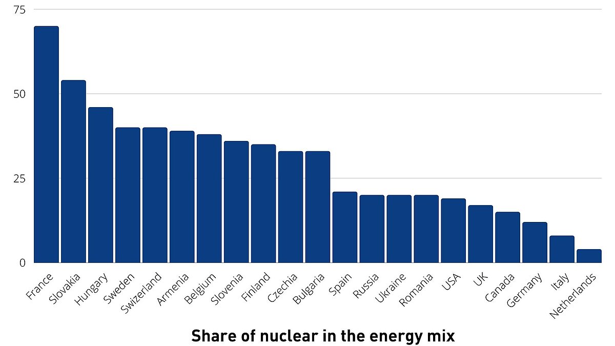 Share of nuclear in the energy mix