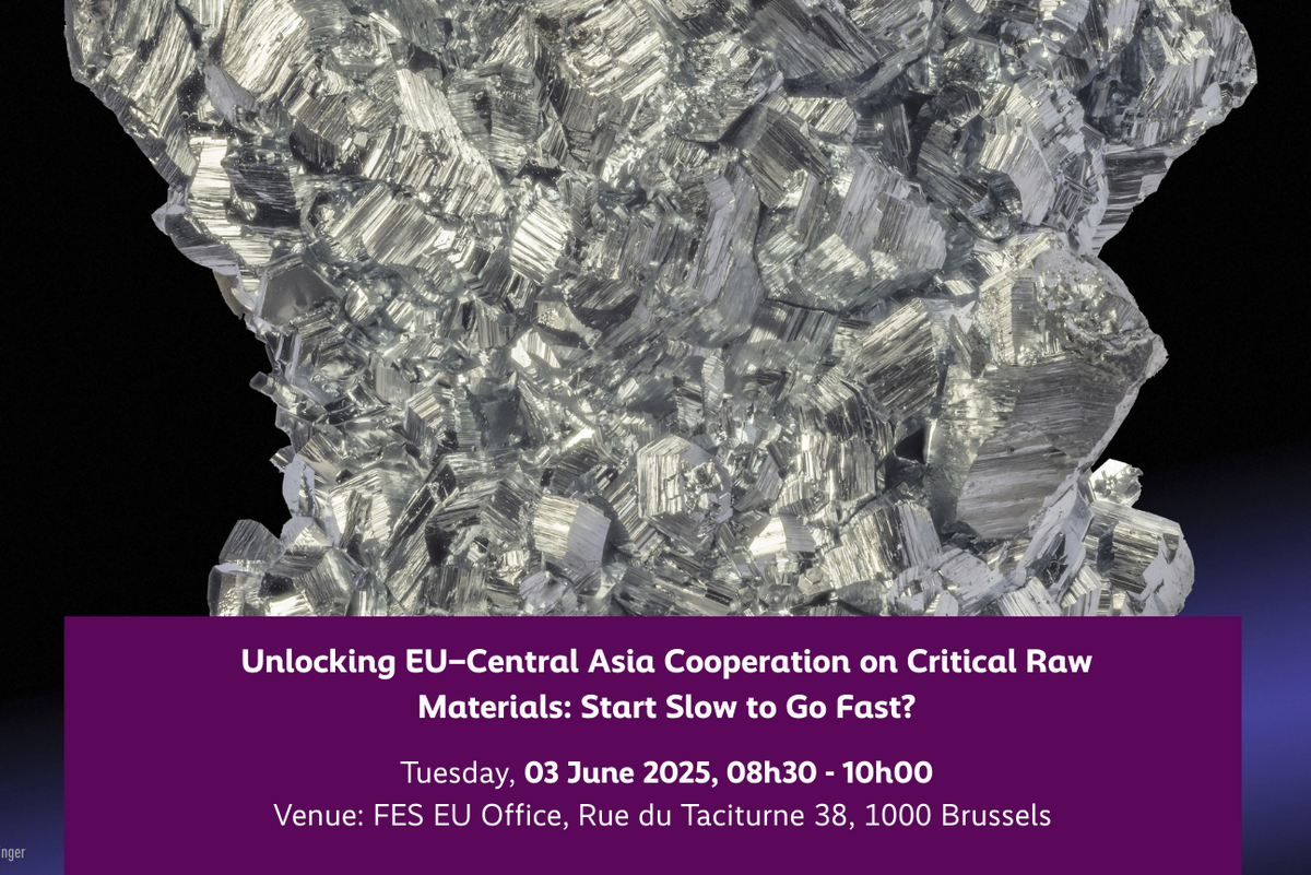 Unlocking EU–Central Asia Cooperation on Critical Raw Materials: Start ...