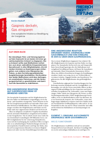Gaspreis deckeln, Gas einsparen