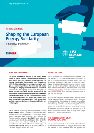 Shaping the European energy solidarity
